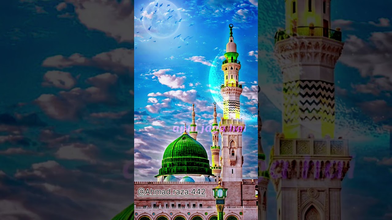 #fatima #ahlebait #ahlulbayt #allah #love #imamhussain #1million #islamicnaat #iraq #imamhussain