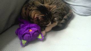 Nina Ottosson (Нина Оттоссон) - Кот-подушка антистресс Мур-Мур