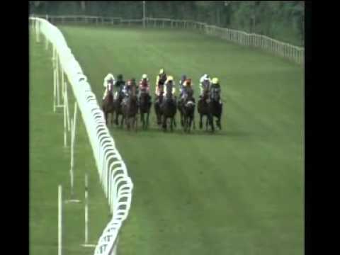 Alfkona 1.000 Guineas