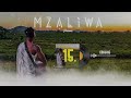 DRIEMO Ft XAVEN IMAGINE Official Audio Visualizer Mzaliwa Malawi Zambia Zimbabwe