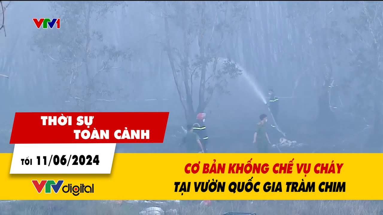 Thời sự toàn cảnh tối 11/06: Cơ bản khống chế vụ cháy tại Vườn quốc gia Tràm Chim | VTV24