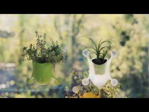 download lagu mp3 mp4 Gardentrends Com, download lagu Gardentrends Com gratis, unduh video klip Gardentrends Com