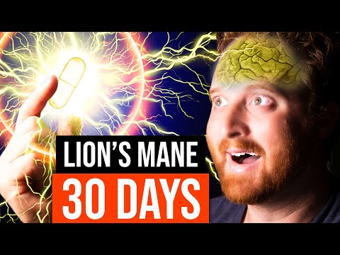 I Took Lion's Mane For 30 Days, Here's What Happened