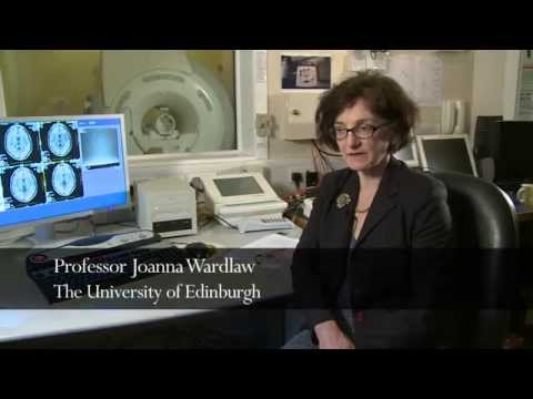 Imaging vital to research success