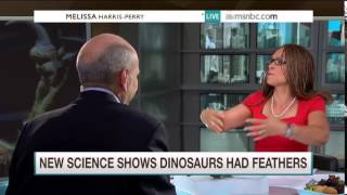 New science shows dinosaurs had feathers