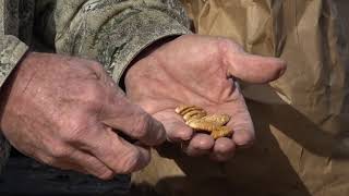 How do you choose the pecans you buy?