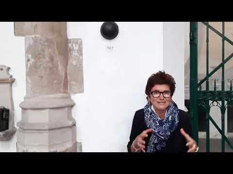 Видеопрогулка по городу Харлем (Нидерланды) с самым лучшим гидом Еленой Писаревой