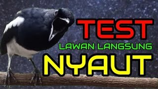 Download lagu Terapi Kacer , suara kacer ngeplong ini cocok buat kacer bahan supaya cepat bunyi gacor! mp3