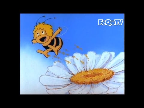 Biene Maja video
