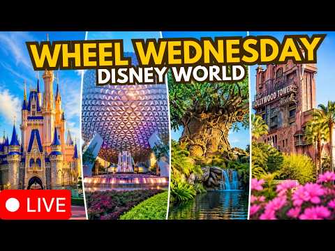 Live webcam of Disney Parks with Love