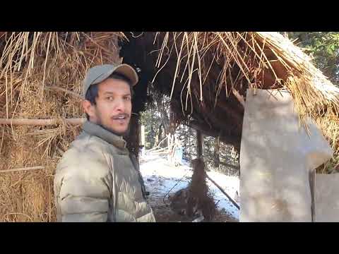 NARKANDA HIGHLIGHTS || NARKANDA HIMACHAL PRADESH || NARKANDA SHIMLA