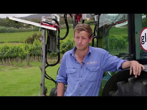 Customer Story: Group Logistics (Trading as Grape Logistics) - Vineyard Services