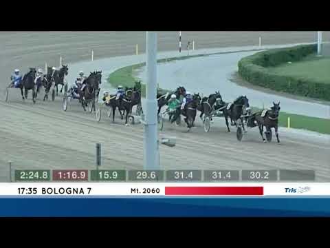 IPPICA: La domenica all'ippodromo Arcoveggio di Bologna proporrà sette corse | VIDEO