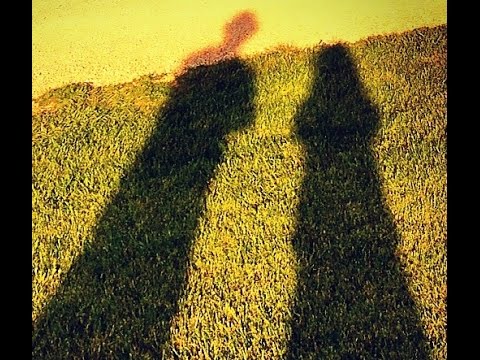 The Pine Hill Project Kickstarter Video