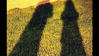 The Pine Hill Project Kickstarter Video