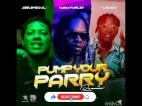 Abramsoul ft. Naira Marley_C Black - Pump Your Party (9javideo)