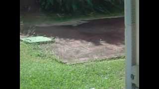 Club Kawama Varadero Cuba. Worst place ever!!!! Dec. 2012