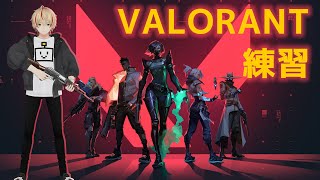 VALORANT練習する！