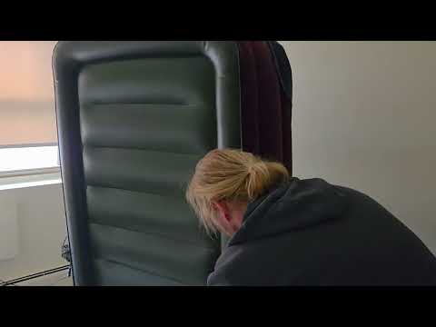 Bed Bugs Bounce Around the Air Mattress in...