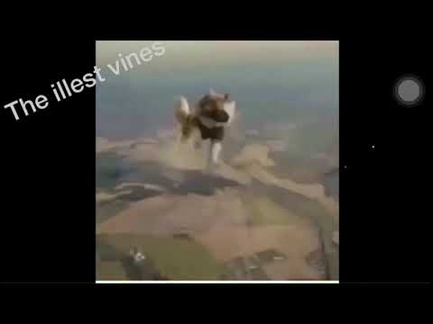 Meme (r.i.p Headphone Users)