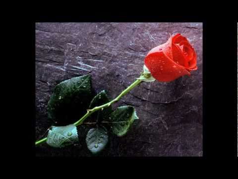 ASOT 514 Aly & Fila feat. Katherine Crowe - It Will Be Ok (Arctic Moon Remix) [Future Favorite]