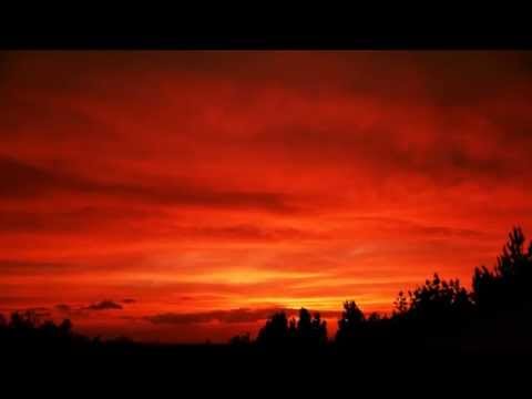 Insect Sun - red sky