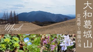 【大和葛城山・王道ルート】北尾根～櫛羅の滝ルート　自然探求路経由で行ってきました