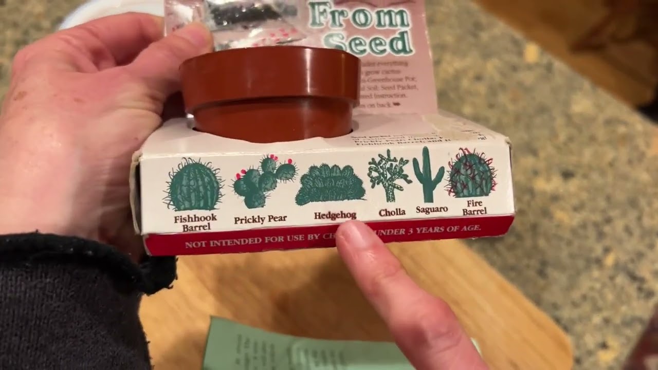 Grow Your Own Cactus Kit!