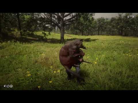 Red Dead Redemption 2_ Black Jaguar
