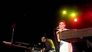 Straylight Run - "Tool Sheds And Hot Tubs"