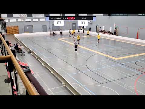 O2JKLMuurY P16 Edustus - PSS