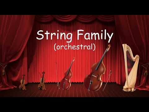 The String Family - Listen to the instruments of the strings family! - Orchestra for Kids