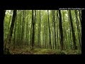 KANNIL AADHO POO VILANGU S JANAKI SONGS