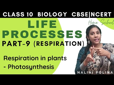 𝐋𝐢𝐟𝐞 𝐏𝐫𝐨𝐜𝐞𝐬𝐬𝐞𝐬 𝐂𝐥𝐚𝐬𝐬 𝟏𝟎 𝐁𝐢𝐨𝐥𝐨𝐠𝐲 𝐍𝐂𝐄𝐑𝐓 𝐂𝐁𝐒𝐄 𝐏𝐚𝐫𝐭 -9