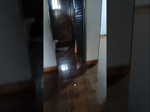 VENDO: Uma chácara 8 mil metros quadrados 5 km de Paranaiguara/Goiás Valor: R$500 mil reais