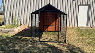 Life Update Chickens and Gardening 