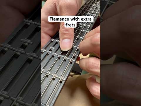 Flamenco with extra frets