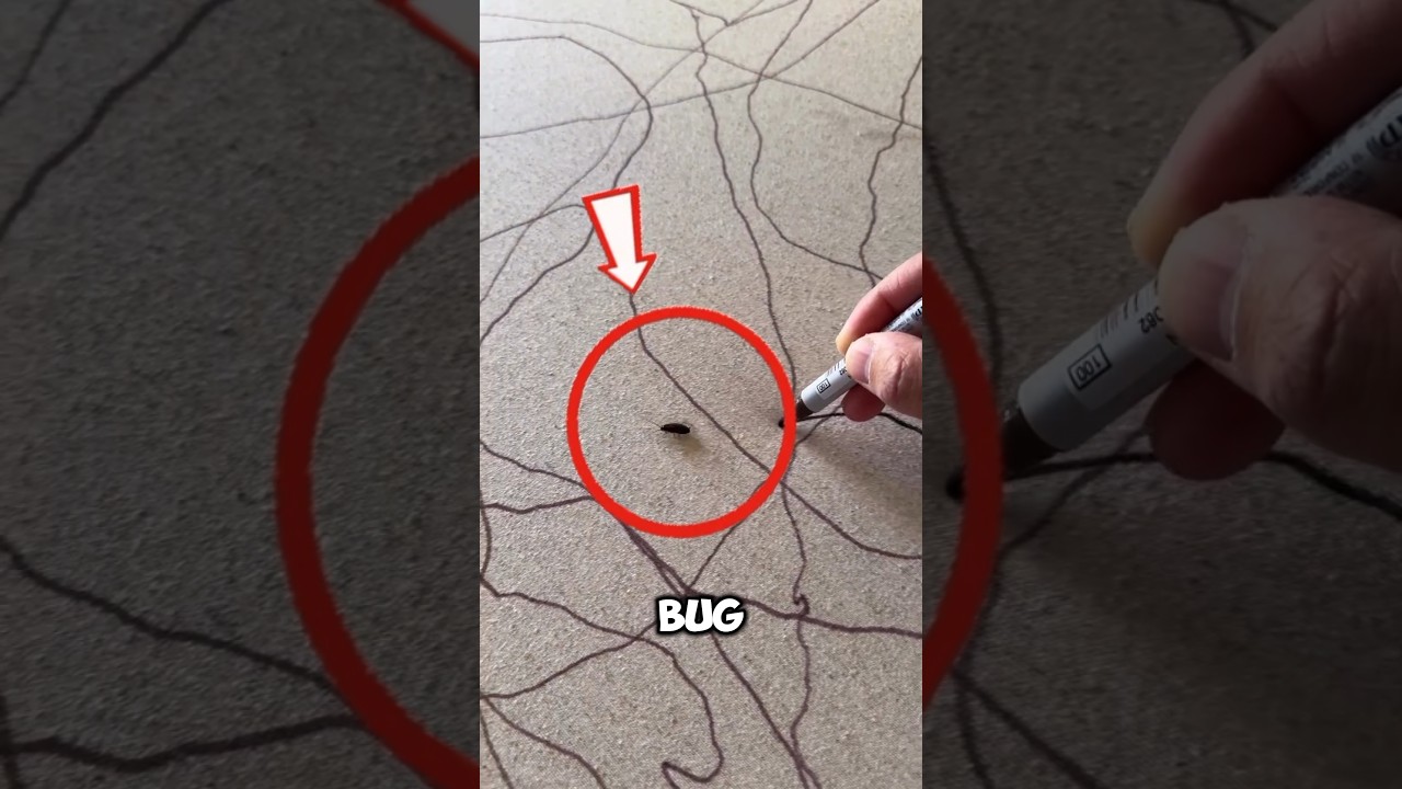 Bug Accidentally Created a Masterpiece‼️ 😱🎨  #shorts