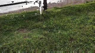 海を見ながら雑談ライブイン葉山