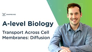 Transport Across Cell Membranes: Diffusion | A-level Biology | OCR, AQA, Edexcel Transport Across Cell Membranes: Diffusion | A-level Biology | OCR, AQA, Edexcel