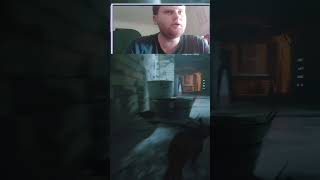 Watch This Cat Knock Everything Over!