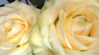 James Newton Howard - I need you (edited by V.L.)