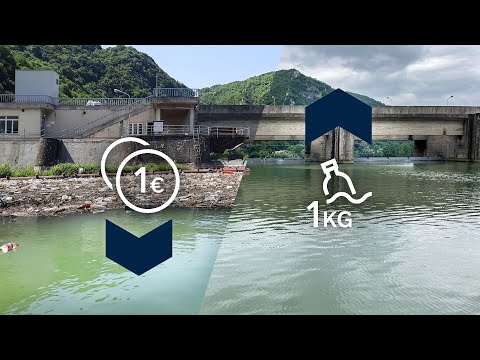 What does it cost to cleanup the world? 💰♻️