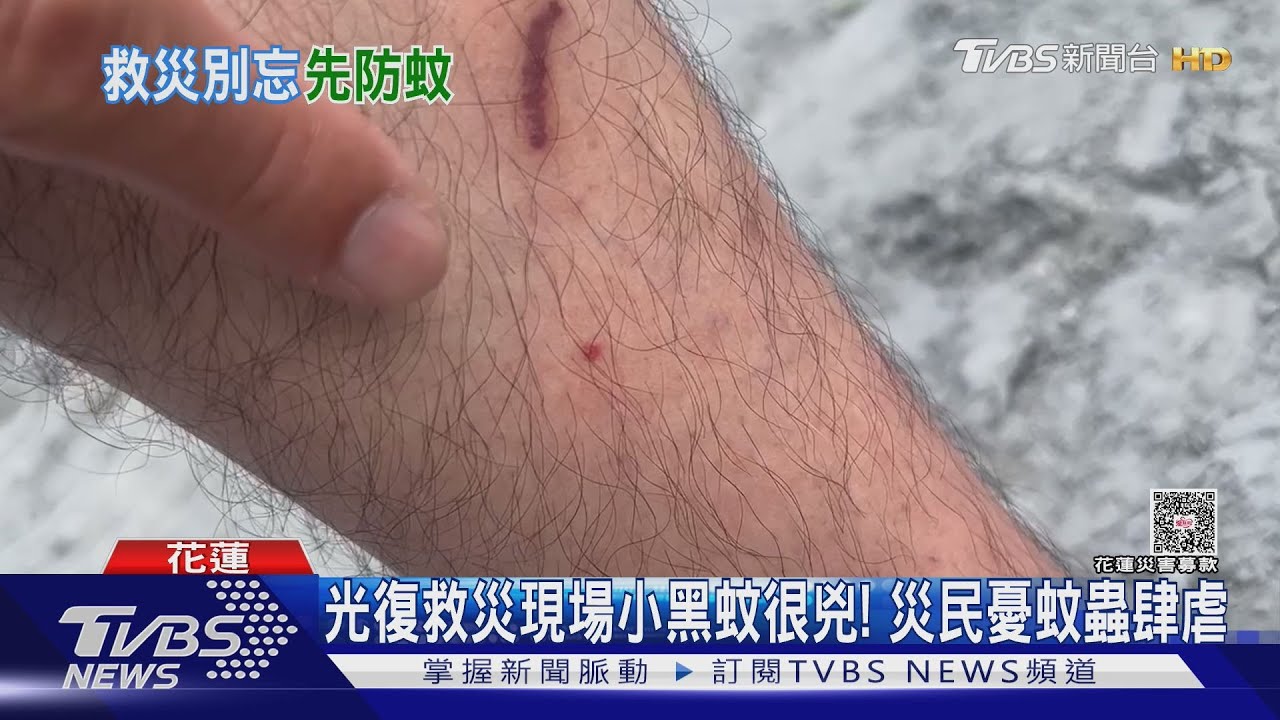 災民憂心!光復災區「恐病媒蚊肆虐」 國軍80名化學兵進駐消毒