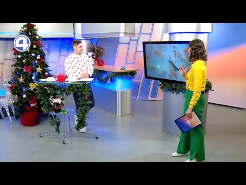 НАРОЧНО НЕ ПРИДУМАЕШЬ