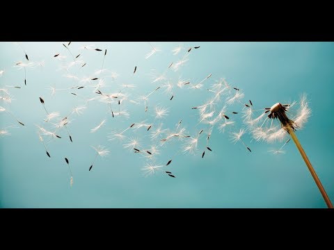 Why Do We Make Ourselves Unhappy?