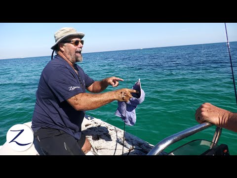 I GOT INKED!! Squid Fishing: A Messy Good Time! (Ep 154)