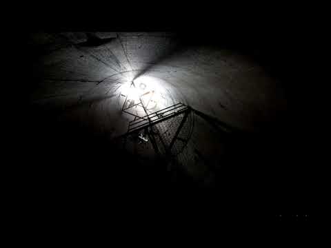 Dziku - Neurofunktion mindfields