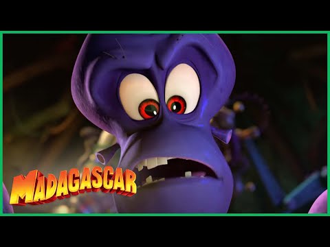 Capa de O Dave está confuso | Os Pinguins de Madagascar