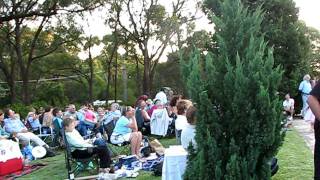 The `Galapagos Duck&#39; - Mack the Knife